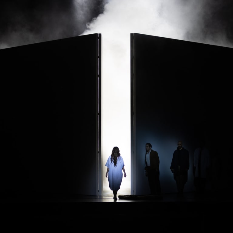 Agrandir l'image La Traviata (saison 25/26)