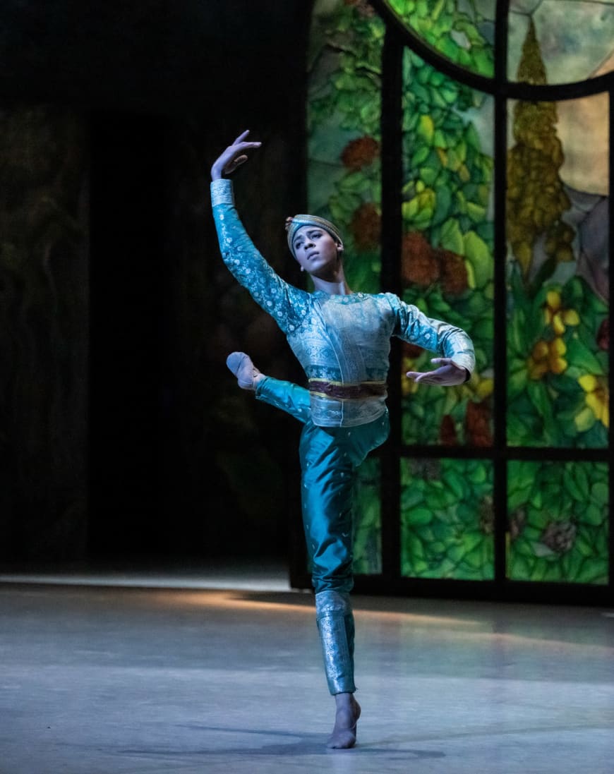 La Bayadère (saison 21/22) - Guillaume Diop (Solor)