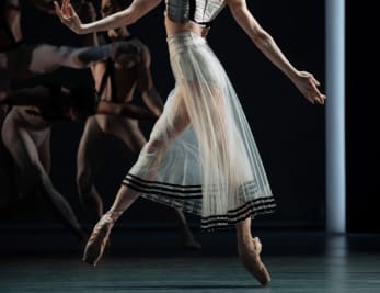 未開封 BEJART BALLET LAUSANNE WORLD TOUR写真集 未開封 BEJART BALLET LAUSANNE WORLD TOUR写真集 Japan, Tokyo