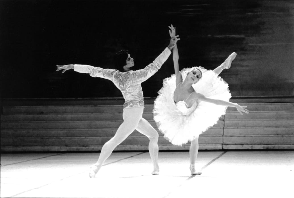 Le Lac des cygnes - Elisabeth Platel