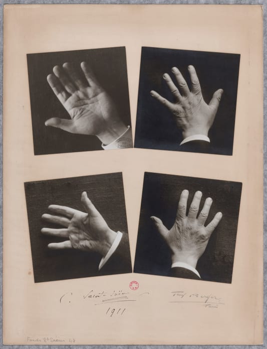Les mains de Camille Saint-Saëns, photographies par Paul Berger, 1911. BnF, Bibliothèque-musée de l'Opéra. Fonds Saint-Saëns.
