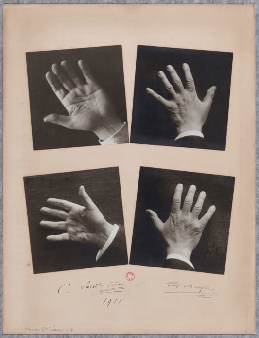 Les mains de Camille Saint-Saëns, photographies par Paul Berger, 1911. BnF, Bibliothèque-musée de l'Opéra. Fonds Saint-Saëns.
