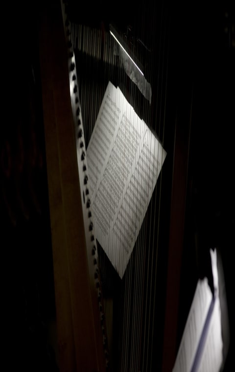 alternate text for the image