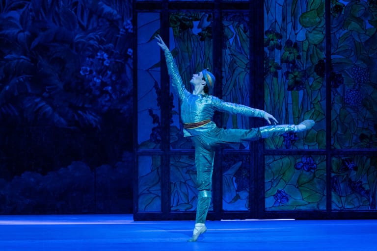 BAYADERE_260611_(c)YKellerman OnP_PG0545_P Marque