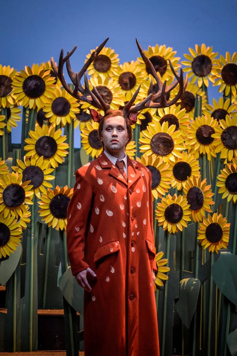 20250113_PetiteRenarde_Generale_006_Vincent-Pontet