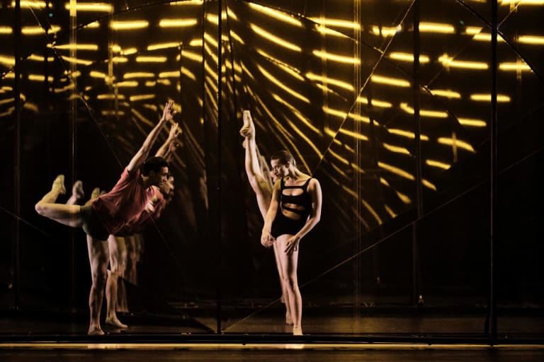 Tree of Codes (saison 18/19) - 16