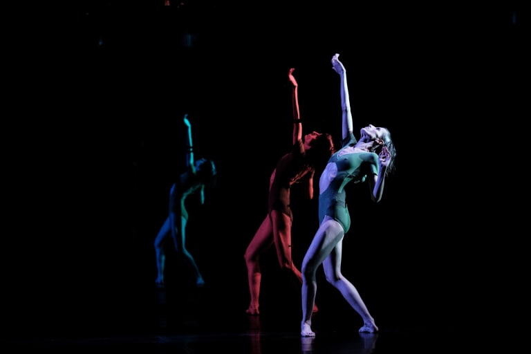 Tree of Codes (saison 18/19) - 8