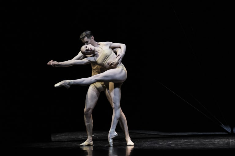 Tree of Codes (saison 18/19) - 17