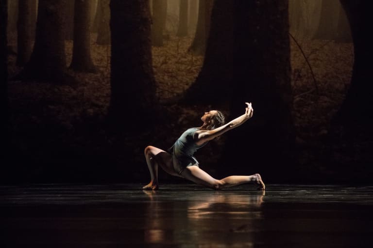 Faun (saison 18/19) - 3