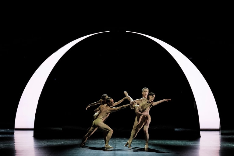 Tree of Codes (saison 18/19) - 11