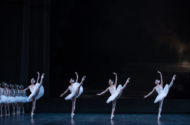 Le Lac des cygnes (saison 18/19) - 26