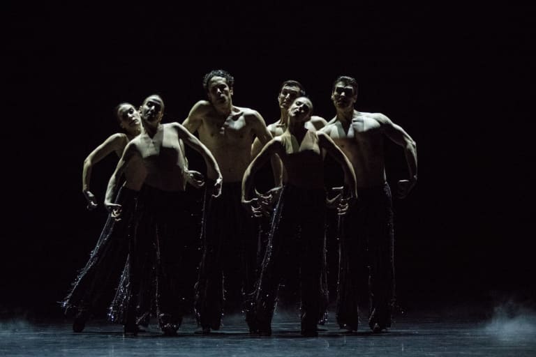 Dogs Sleep (saison 18/19)  - 3