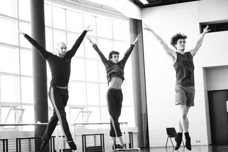 Tree of Codes (saison 18/19)