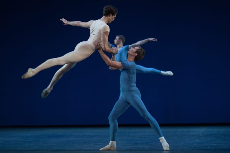 Opus 19/ The Dreamer- - 2