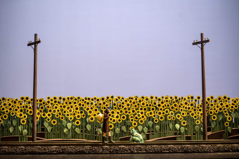 20250113_PetiteRenarde_Generale_002_Vincent-Pontet