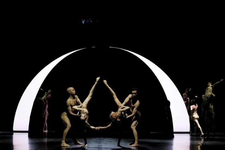 Tree of Codes (saison 18/19) - 6