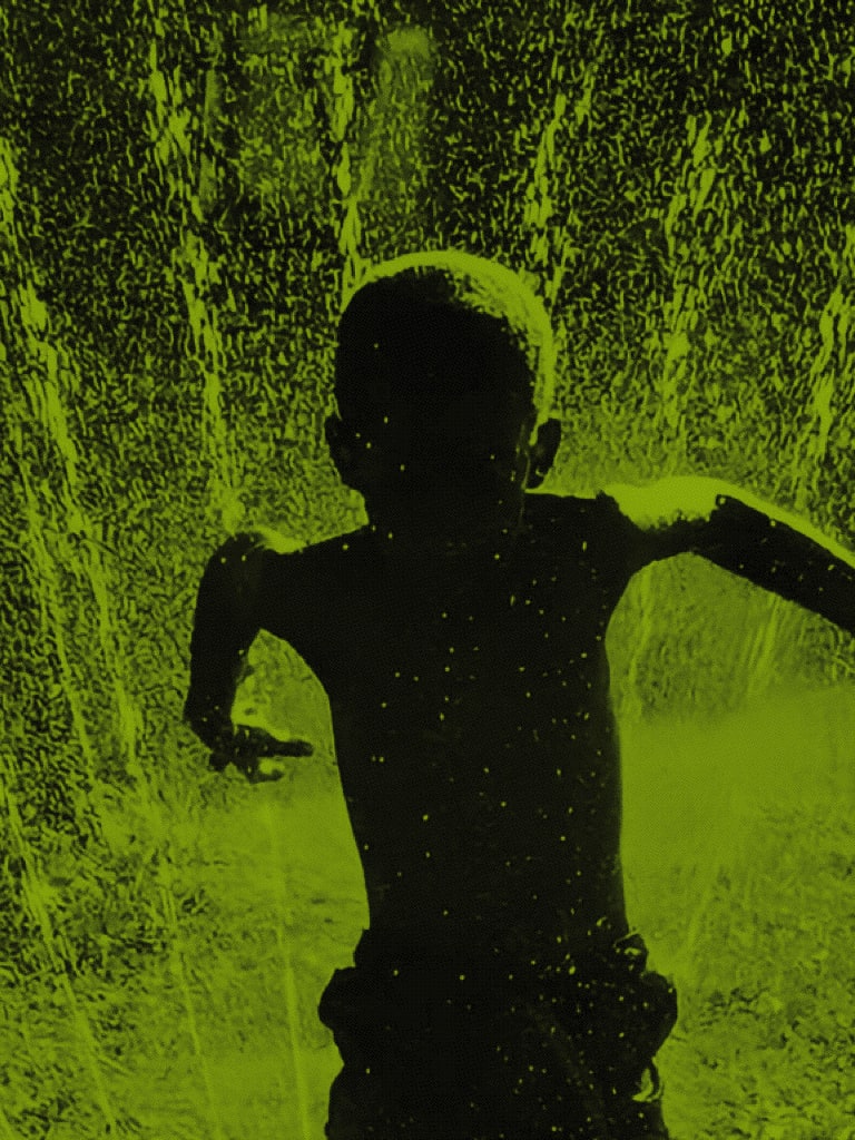 Coquilles-AmalaDianor ©DR