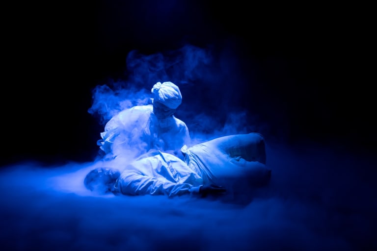 La Langue des Cygnes 3 © Yves Petit