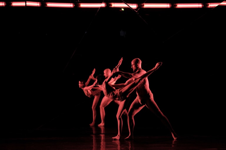 Tree of Codes (saison 18/19) - 12