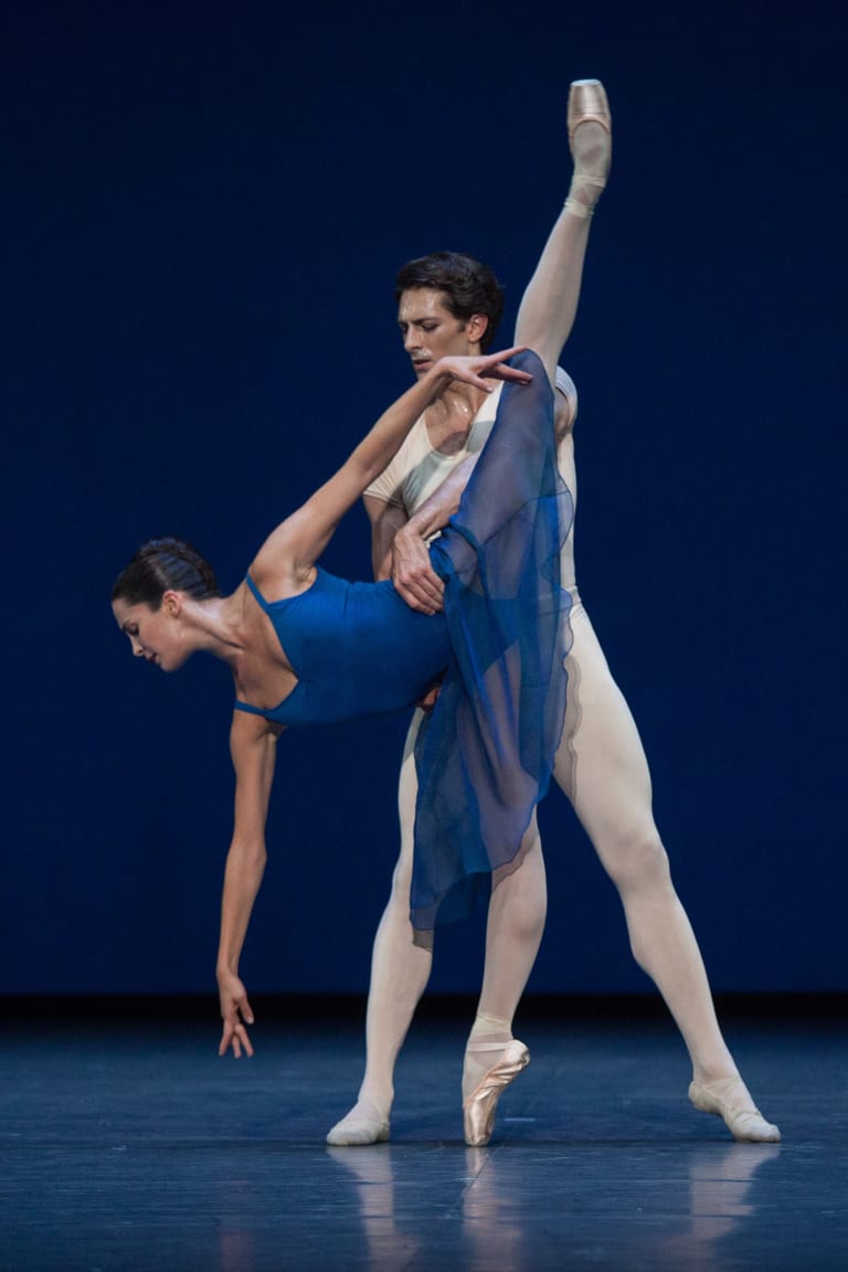 Opus 19/ The Dreamer- - 5