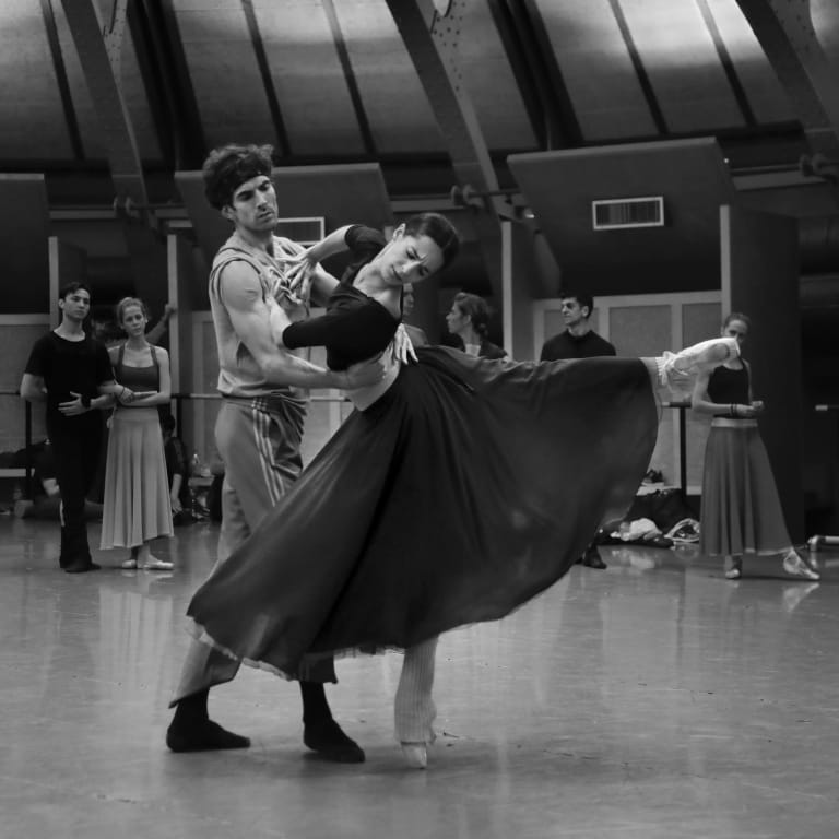 La Dame aux Camélias - 13