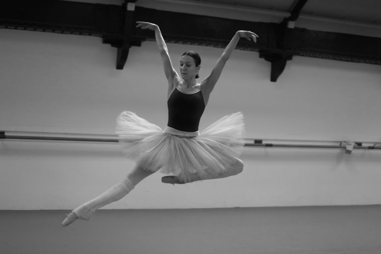 Le Lac des cygnes - 7