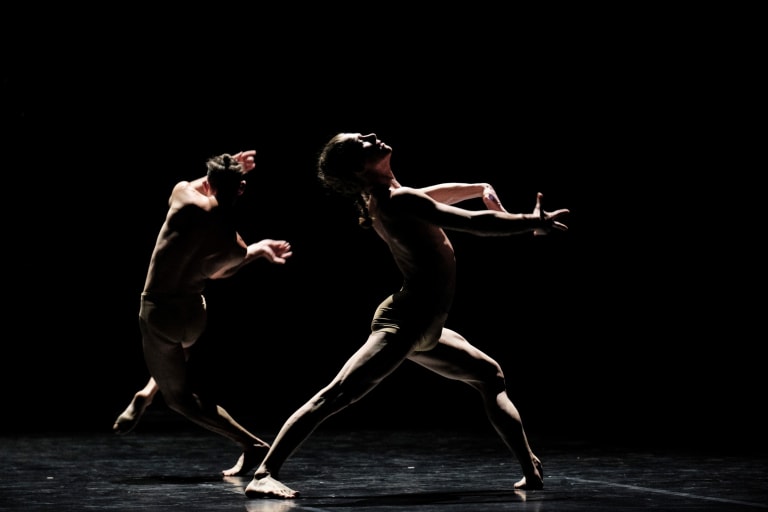 Tree of Codes (saison 18/19) - 21