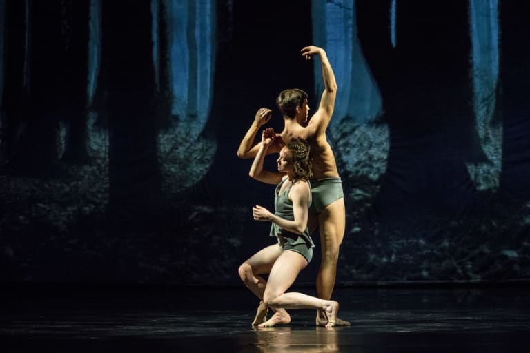 Faun (saison 18/19) - 5