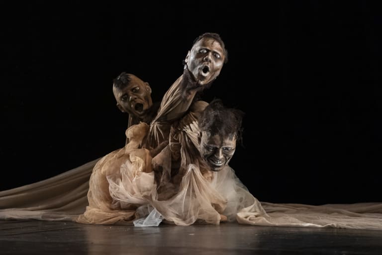 La Langue des Cygnes 4 © Yves Petit