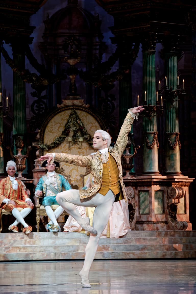 La Belle au bois dormant - 12