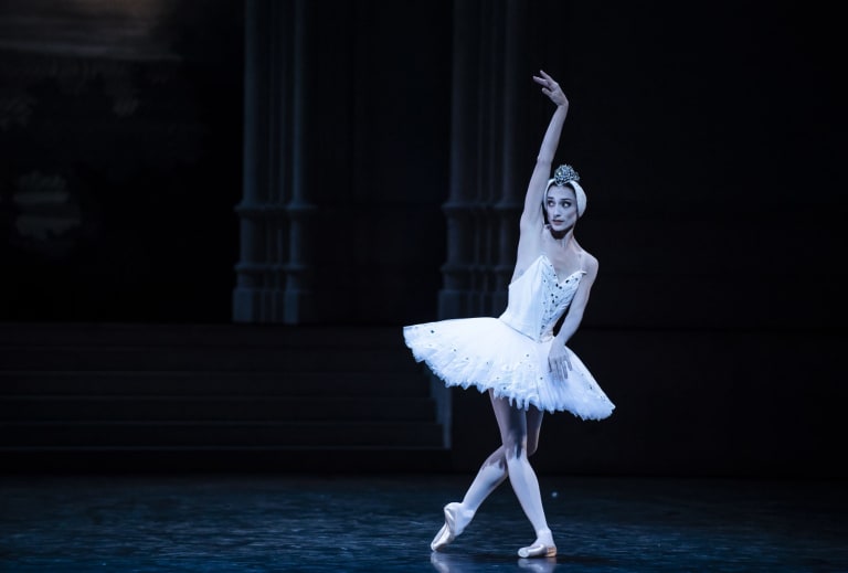 Le Lac des cygnes (saison 18/19) - 1