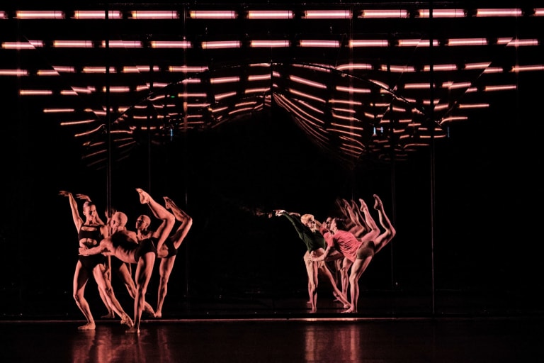 Tree of Codes (saison 18/19) - 5