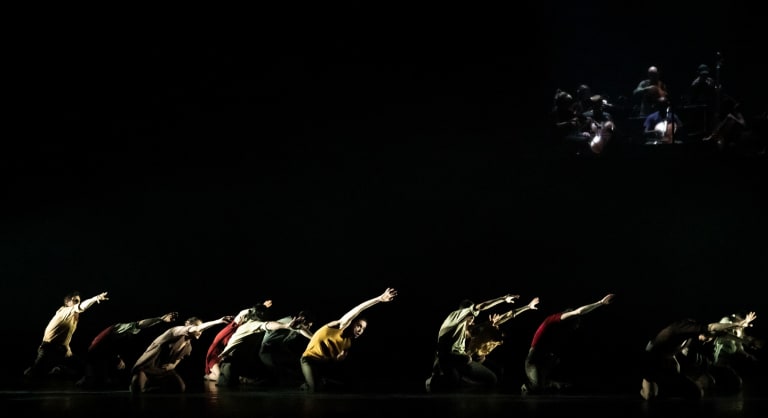 Hofesh Shechter (saison 21/22) | In your rooms