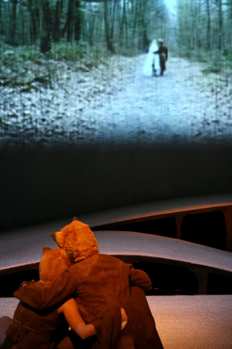 La petite renarde rusée - 3