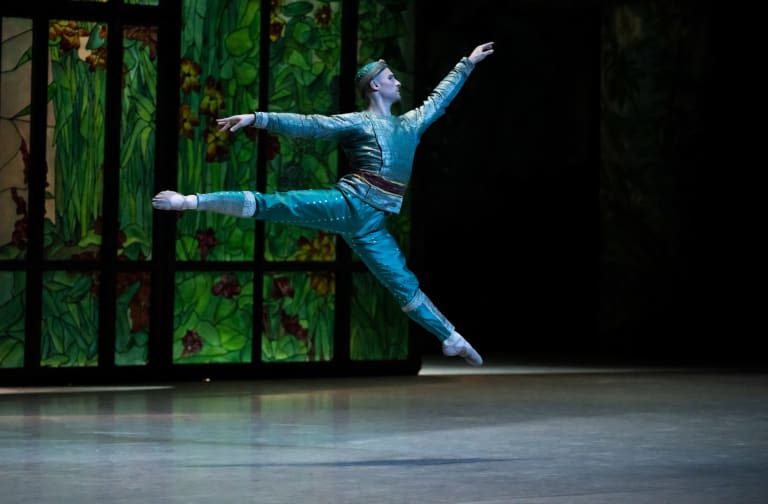 10_DSC6699_BAYADERE_NOUREEV_François Alu (Solor) (c) Julien Benhamou OnP