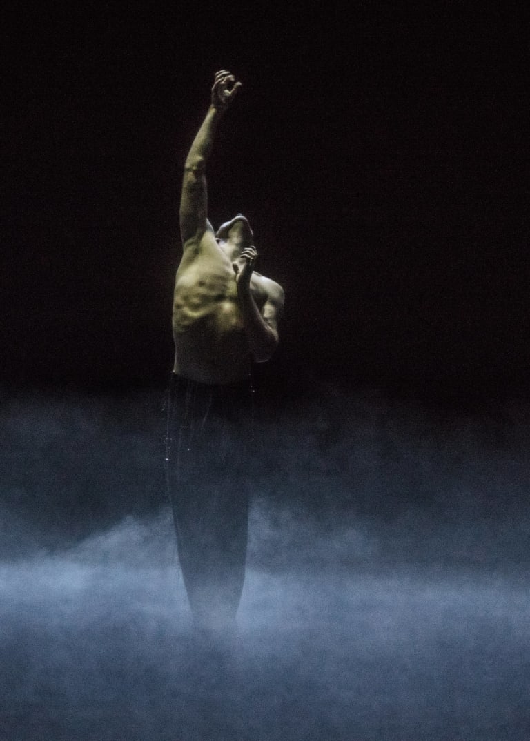 Dogs Sleep (saison 18/19)  - 5