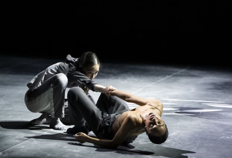 Chorégraphes contemporains - 6