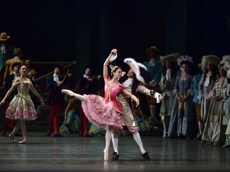 La belle au bois dormant - 5