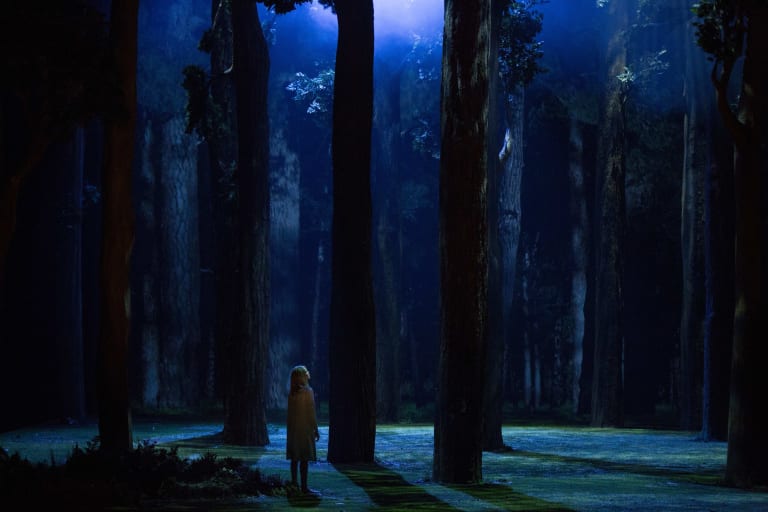 HD-ELISA HABERER-0287