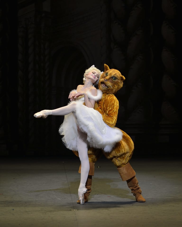 sbmiettinenshayer1gs