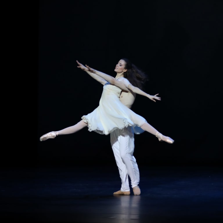 Spring and Fall - 11