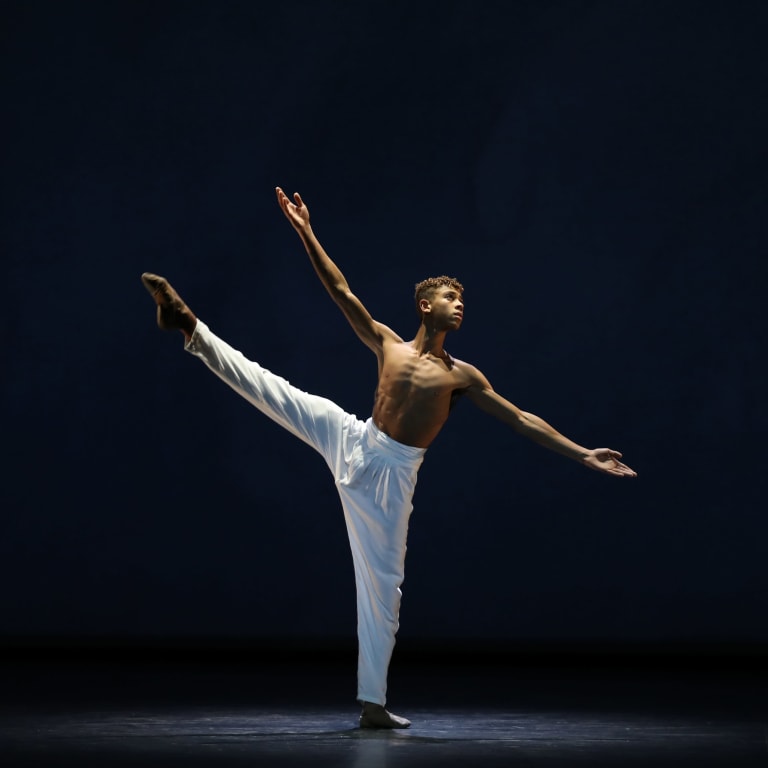 Spring and Fall - 20