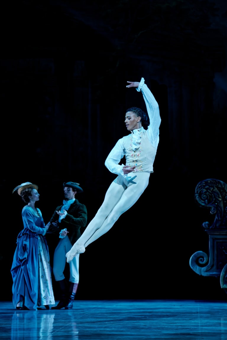 La Belle au bois dormant - 6