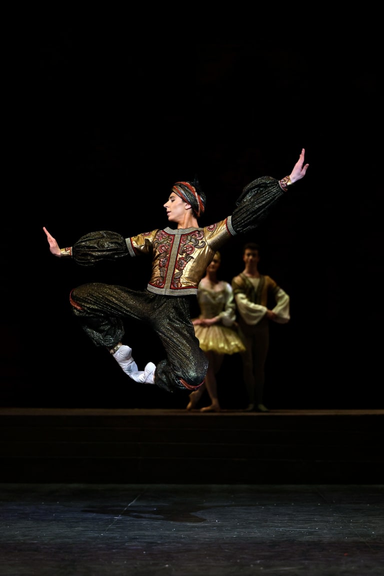 2023 04-EdD-Raymonda-©Loboff--071_RAYMONDA (Acte III)_Rudolf Noureev (c) Svetlana Loboff OnP