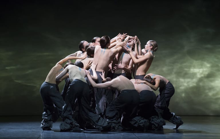 sélection Pite - 18