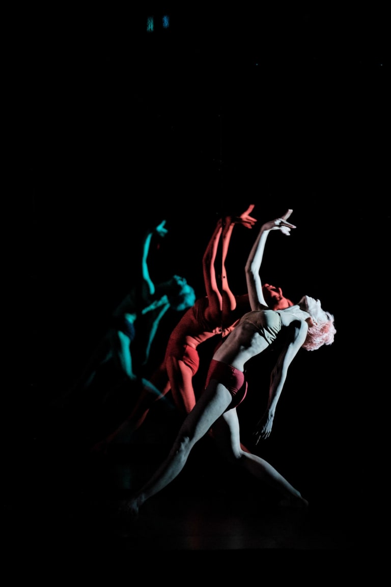 Tree of Codes (saison 18/19) - 1