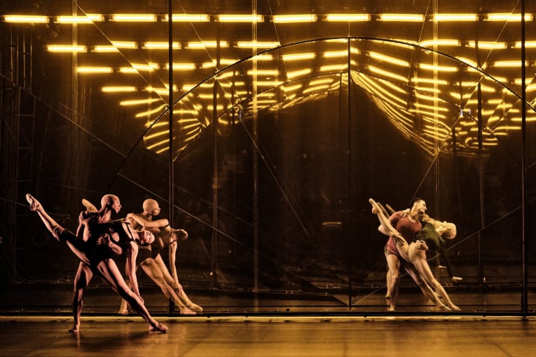 Tree of Codes (saison 18/19) - 7