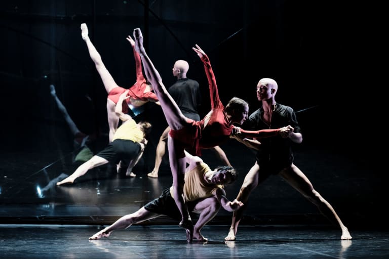 Tree of Codes (saison 18/19) - 18