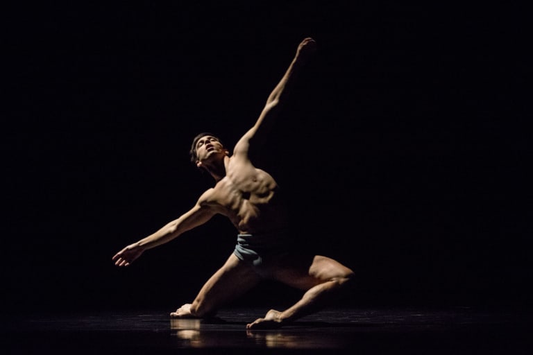 Faun (saison 18/19) - 7