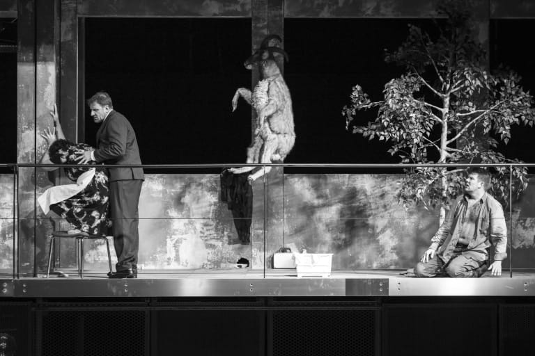 WALK_REP_5666_┬® E. Bauer - OnP